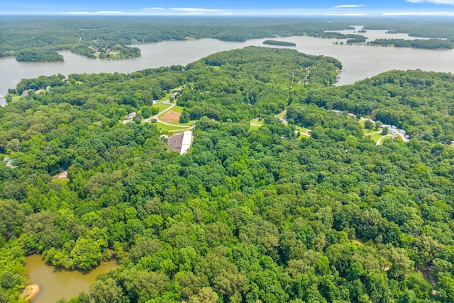 6085 Blue Springs Rd, Cadiz, KY 42211 - aerial view of a nearby body of water and a forest