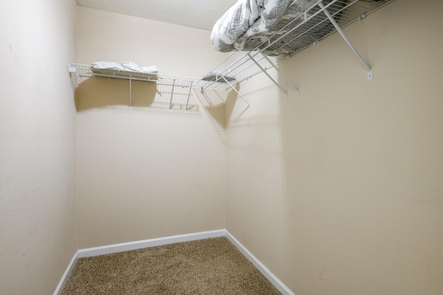 5035 Preserve Blvd, Antioch, TN 37013 - walk in closet featuring carpet