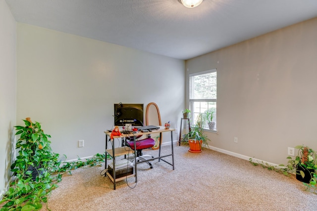 5035 Preserve Blvd, Antioch, TN 37013 - office with carpet floors and baseboards