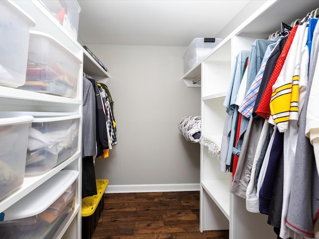 2207 Oakwood Ct, Franklin, TN 37064 - spacious closet featuring wood finished floors
