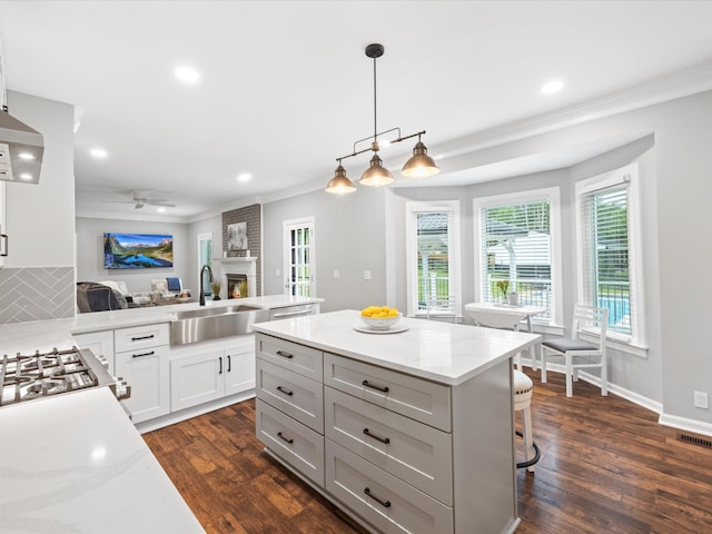 2207 Oakwood Ct, Franklin, TN 37064 - kitchen with a sink, ornamental molding, dark wood-style flooring, recessed lighting, and a large fireplace