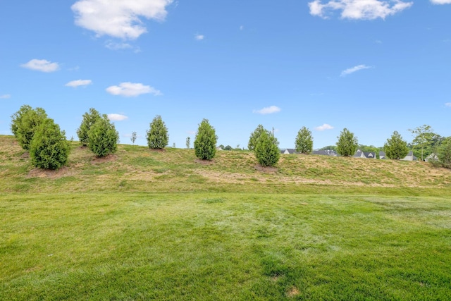 2764 Otterham Dr, Thompsons Station, TN 37179 - view of green lawn with a view of countryside