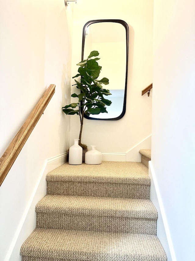 2815 Anglo Ct, Murfreesboro, TN 37129 - view of stairs