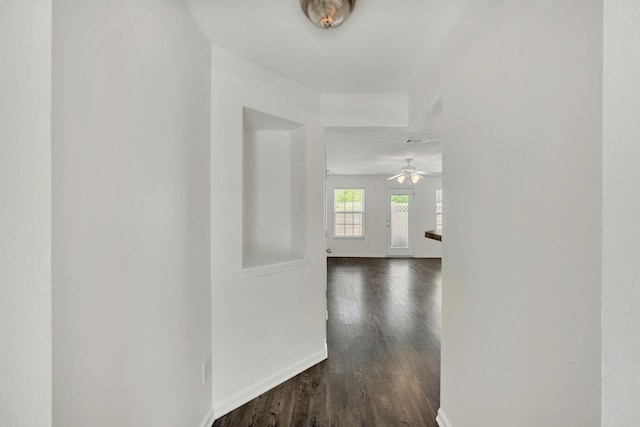 2013 Shaylin Loop, Antioch, TN 37013 - hall featuring dark wood-style floors and baseboards
