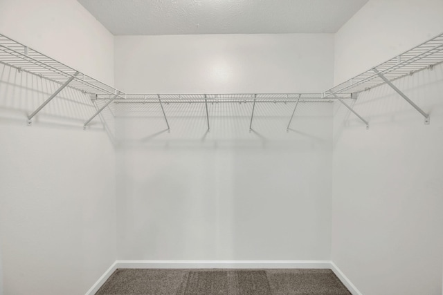 2013 Shaylin Loop, Antioch, TN 37013 - spacious closet with carpet floors