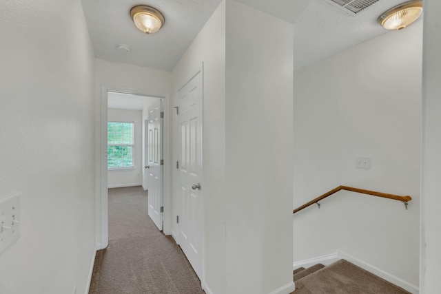 2013 Shaylin Loop, Antioch, TN 37013 - hallway featuring carpet floors and baseboards