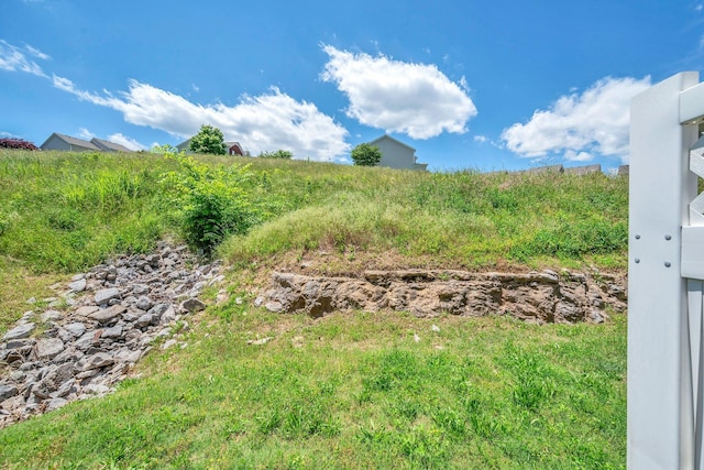 2013 Shaylin Loop, Antioch, TN 37013 - view of yard