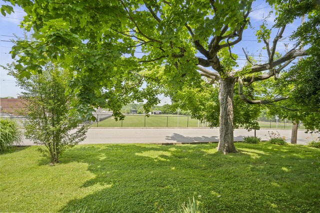 400 Connell St, Springfield, TN 37172 - view of yard