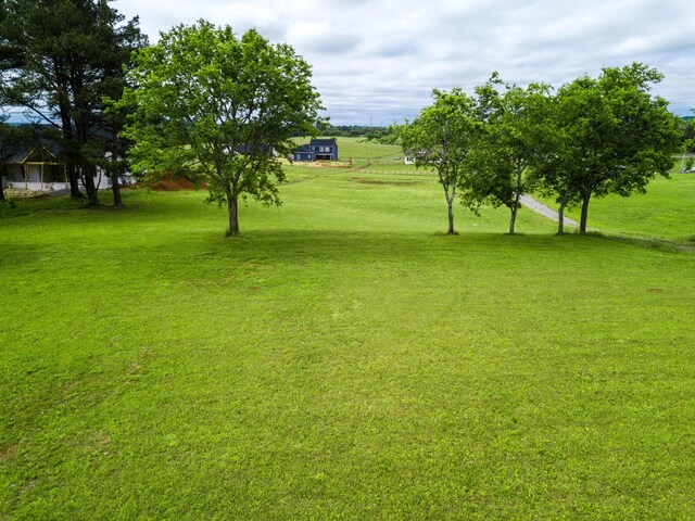 4B Butler Rd, Columbia, TN 38401 - photo 3
