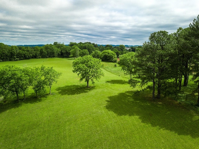 4B Butler Rd, Columbia, TN 38401 - photo 2