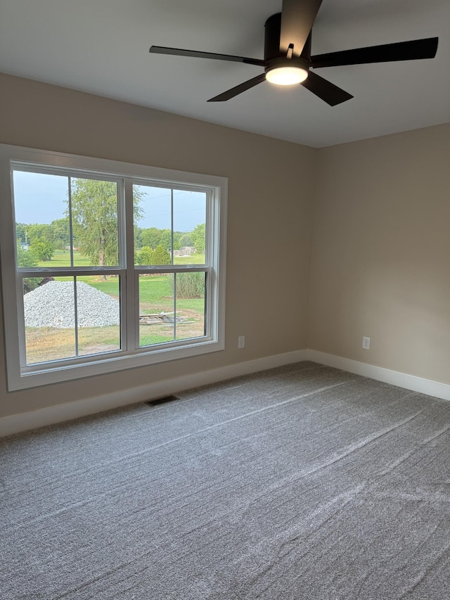 3943 Fykes Grove Rd, Cedar Hill, TN 37032 - photo 19