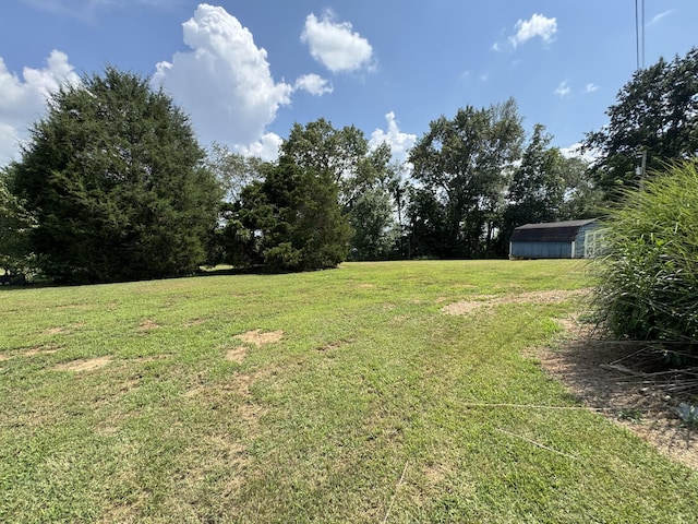 3943 Fykes Grove Rd, Cedar Hill, TN 37032 - photo 30