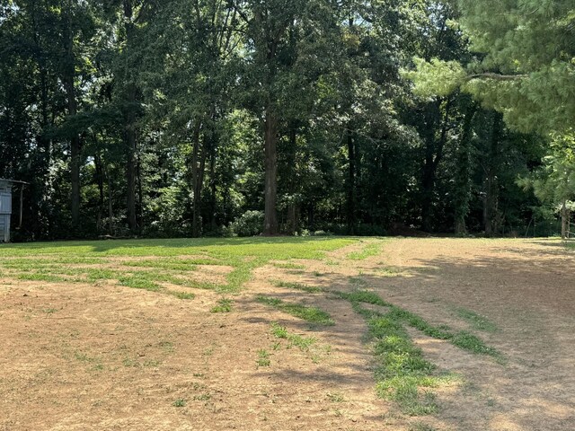 3943 Fykes Grove Rd, Cedar Hill, TN 37032 - photo 29