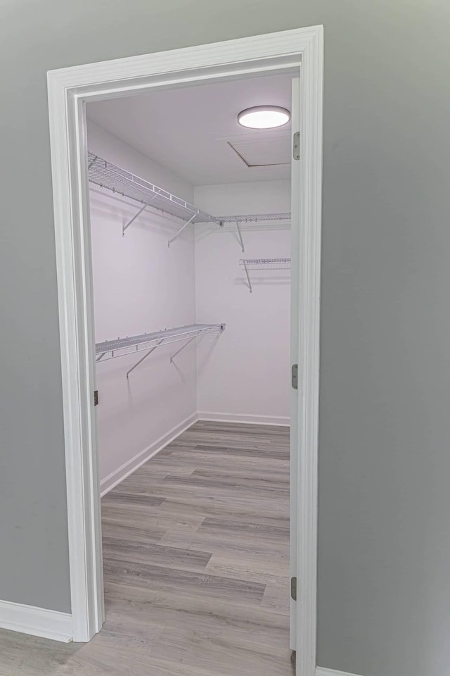 259 Longbranch Rd, Hohenwald, TN 38462 - walk in closet featuring light wood finished floors