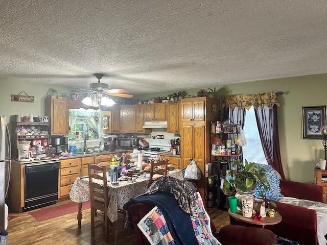 832 Fritzsche Loop, Jamestown, TN 38556 - kitchen with black appliances, a textured ceiling, under cabinet range hood, plenty of natural light, and ceiling fan