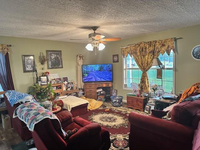 832 Fritzsche Loop, Jamestown, TN 38556 - living area with a textured ceiling and ceiling fan
