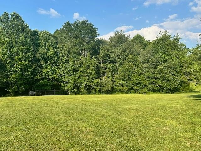 832 Fritzsche Loop, Jamestown, TN 38556 - view of green lawn