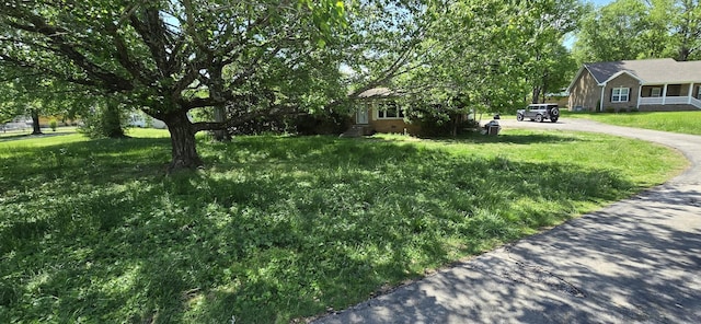 113 Brook St, Mc Ewen, TN 37101 - view of yard with driveway