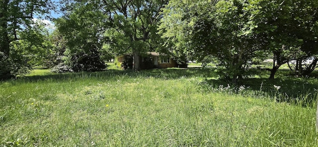 113 Brook St, Mc Ewen, TN 37101 - view of yard