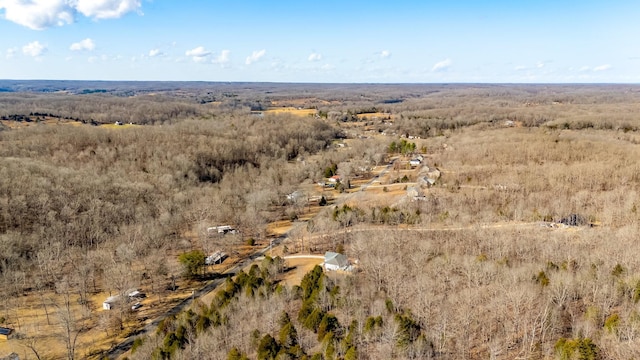 2800 N Hurricane Creek Rd, Mc Ewen, TN 37101 - aerial view of property and surrounding area