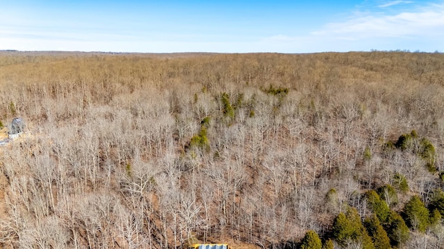 2800 N Hurricane Creek Rd, Mc Ewen, TN 37101 - view of undeveloped land