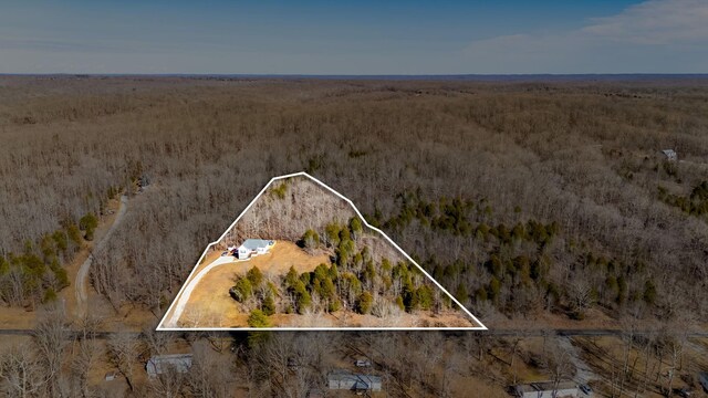 2800 N Hurricane Creek Rd, Mc Ewen, TN 37101 - overview of rural landscape with property parcel outlined and a heavily wooded area