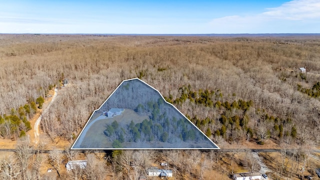 2800 N Hurricane Creek Rd, Mc Ewen, TN 37101 - aerial view of property's location featuring property parcel outlined