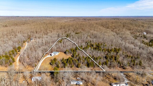 2800 N Hurricane Creek Rd, Mc Ewen, TN 37101 - aerial view of sparsely populated area with property boundaries highlighted