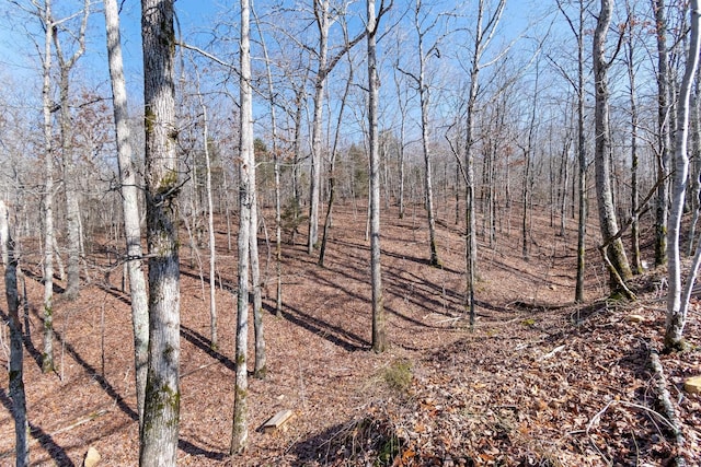 2800 N Hurricane Creek Rd, Mc Ewen, TN 37101 - view of local wilderness
