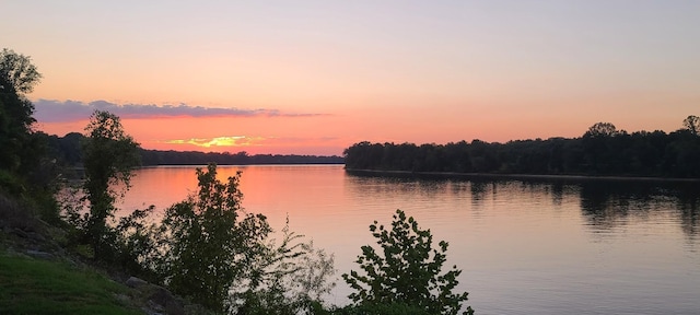 0 Wc Pickett, Clifton, TN 38425