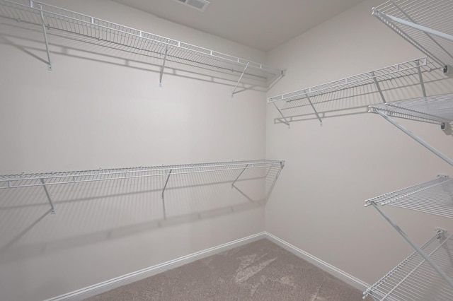 515 Cedar Brook Dr, White House, TN 37188 - spacious closet with carpet