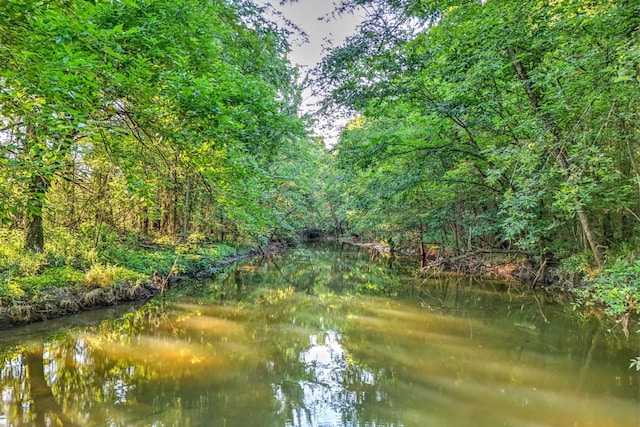 500 Old Pencil Mill Rd, Chapel Hill, TN 37034 - water view featuring a heavily wooded area