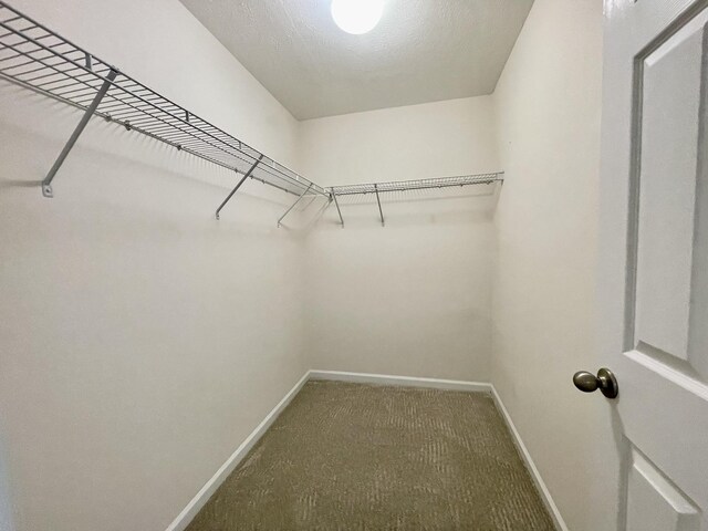 8224 Rossi Rd, Brentwood, TN 37027 - photo 15