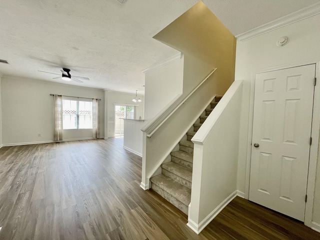 8224 Rossi Rd, Brentwood, TN 37027 - photo 4