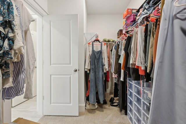 3617 Anthony Ave, Murfreesboro, TN 37129 - walk in closet featuring carpet floors