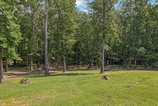 121 Regency Ln, Dickson, TN 37055 - view of green lawn