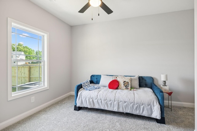 730 Buffalo Ford Dr, Clarksville, TN 37042 - photo 20