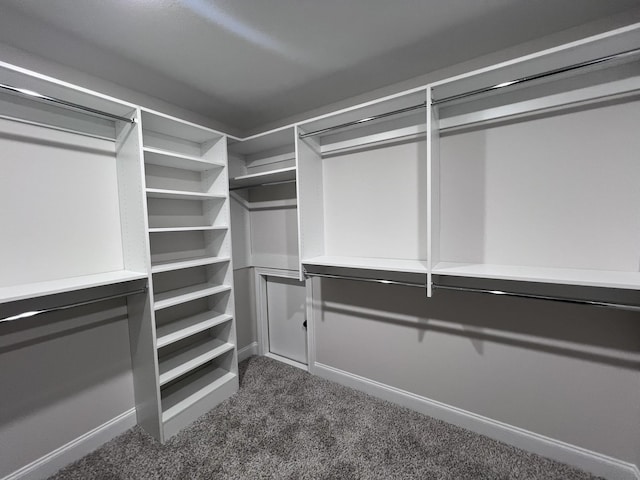 730 Buffalo Ford Dr, Clarksville, TN 37042 - photo 67