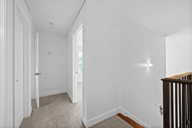 3692 Prestwicke Pl, Adams, TN 37010 - corridor featuring baseboards and carpet