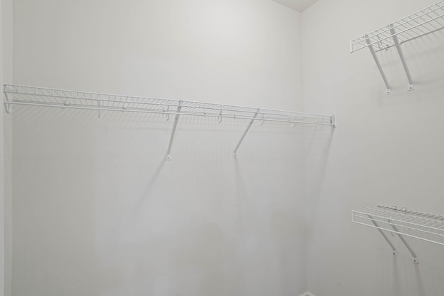 1710 Lone Jack Ln, Murfreesboro, TN 37129 - view of spacious closet