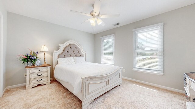310 Boxbury Ct, Old Hickory, TN 37138 - photo 29