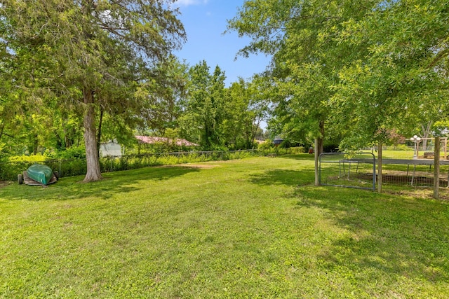 51 N Case Ave, Trenton, GA 30752 - view of yard