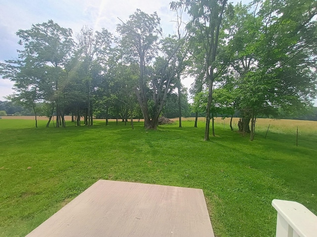 657 Chaffin Rd, Lafayette, TN 37083 - view of grassy yard