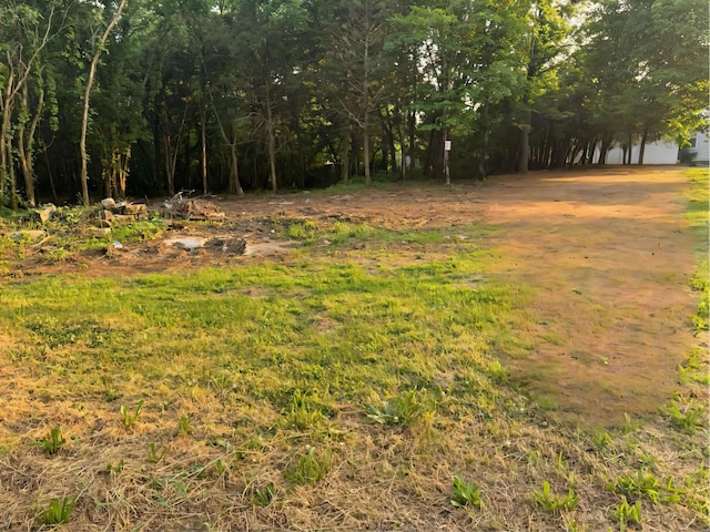 3890 Division St E, Mount Juliet, TN 37122 - photo 6