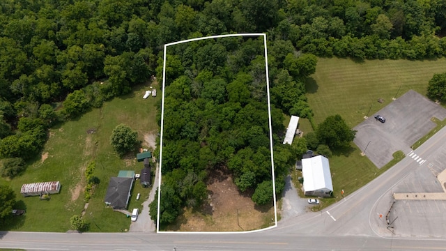 3890 Division St E, Mount Juliet, TN 37122 - photo 2