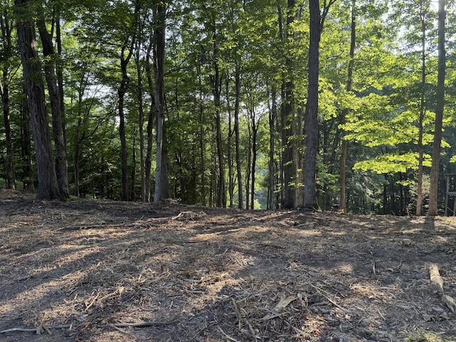 0 Ridgeview Run, Lynchburg, TN 37352