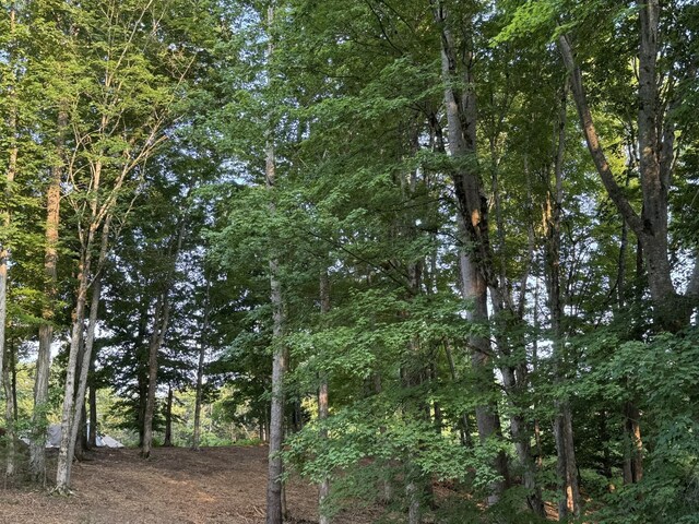 0 Ridgeview Run, Lynchburg, TN 37352
