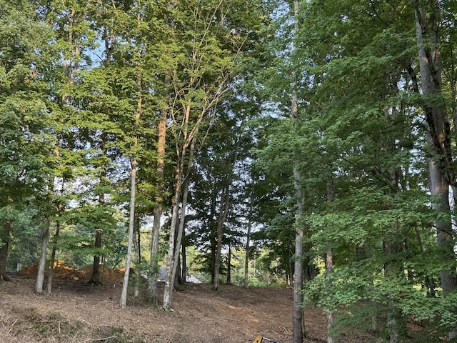 0 Ridgeview Run, Lynchburg, TN 37352