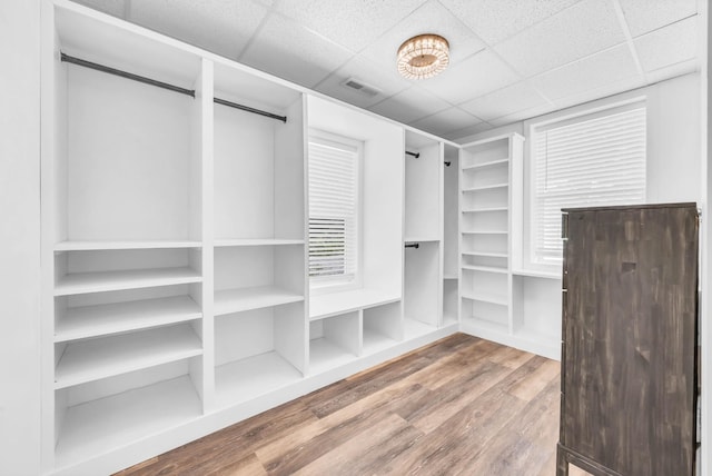4510 Akin Rd, Cunningham, TN 37052 - spacious closet with wood finished floors and a paneled ceiling