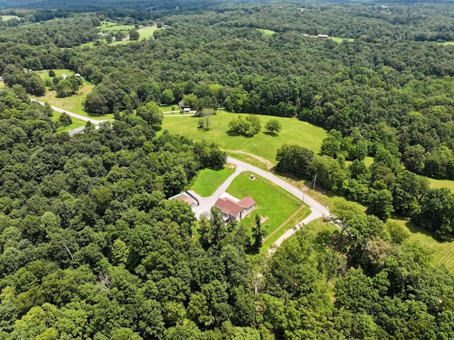 4510 Akin Rd, Cunningham, TN 37052 - bird's eye view of a forest